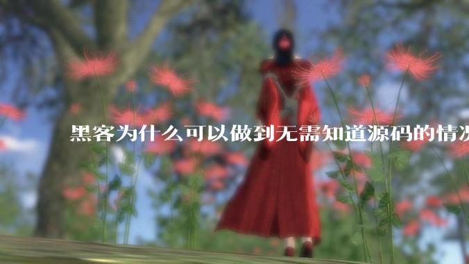 黑客为什么可以做到无需知道源码的情况下找出系统漏洞？